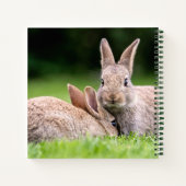 Kutest Baby Animals | Wild Bunny Rabbits Notitieboek (Achterkant)