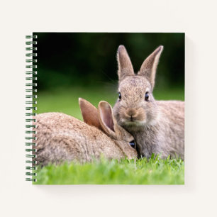 Kutest Baby Animals   Wild Bunny Rabbits Notitieboek