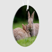 Kutest Baby Animals | Wild Bunny Rabbits Ornament (voorkant)