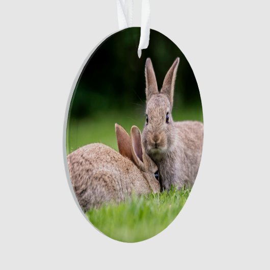 Kutest Baby Animals | Wild Bunny Rabbits Ornament (voorkant)