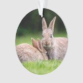 Kutest Baby Animals | Wild Bunny Rabbits Ornament (voorkant)