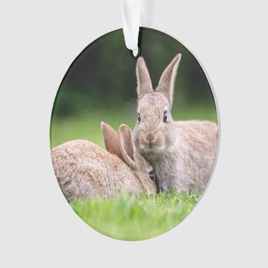 Kutest Baby Animals | Wild Bunny Rabbits Ornament (voorkant)