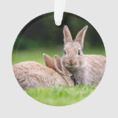 Kutest Baby Animals | Wild Bunny Rabbits Ornament (voorkant)