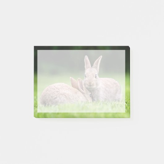 Kutest Baby Animals | Wild Bunny Rabbits Post-it® Notes (Voorkant)