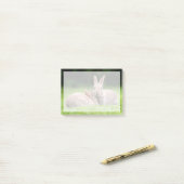 Kutest Baby Animals | Wild Bunny Rabbits Post-it® Notes (Op bureau)