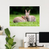 Kutest Baby Animals | Wild Bunny Rabbits Poster (Thuiskantoor)