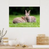 Kutest Baby Animals | Wild Bunny Rabbits Poster (Keuken)