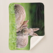 Kutest Baby Animals | Wild Bunny Rabbits Sherpa Deken (Voorkant)