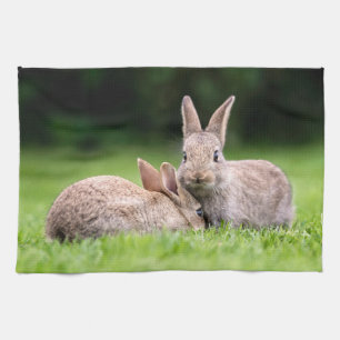 Kutest Baby Animals   Wild Bunny Rabbits Theedoek