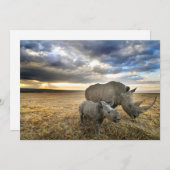 Kutest Baby Animals | Witte Rijn en Calf Bedankkaart (Voorkant / Achterkant)