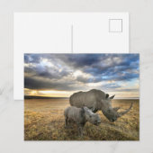 Kutest Baby Animals | Witte Rijn en Calf Briefkaart (Voorkant / Achterkant)