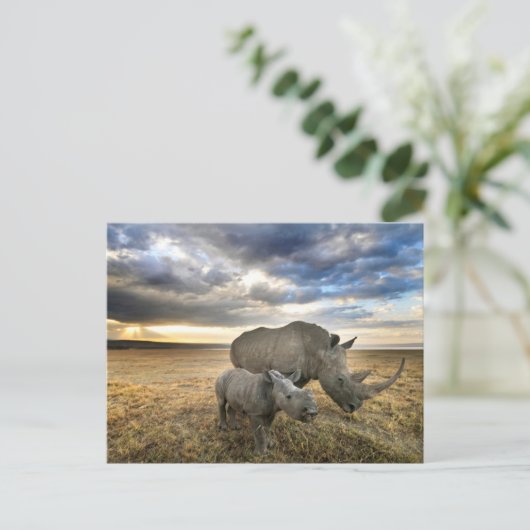 Kutest Baby Animals | Witte Rijn en Calf Briefkaart (Staand voorkant)