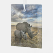 Kutest Baby Animals | Witte Rijn en Calf Glas Ornament (Voorkant links)