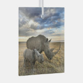 Kutest Baby Animals | Witte Rijn en Calf Glas Ornament (Voorkant Rechts)