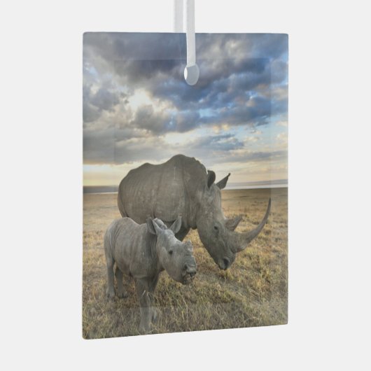 Kutest Baby Animals | Witte Rijn en Calf Glas Ornament (Voorkant Rechts)