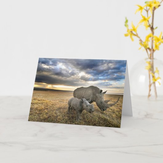 Kutest Baby Animals | Witte Rijn en Calf Kaart (Gele Bloem)