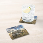 Kutest Baby Animals | Witte Rijn en Calf Kartonnen Onderzetters (Insitu)