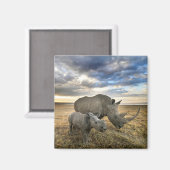 Kutest Baby Animals | Witte Rijn en Calf Magneet (Voorkant / Achterkant)