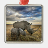 Kutest Baby Animals | Witte Rijn en Calf Metalen Ornament (Voorkant)