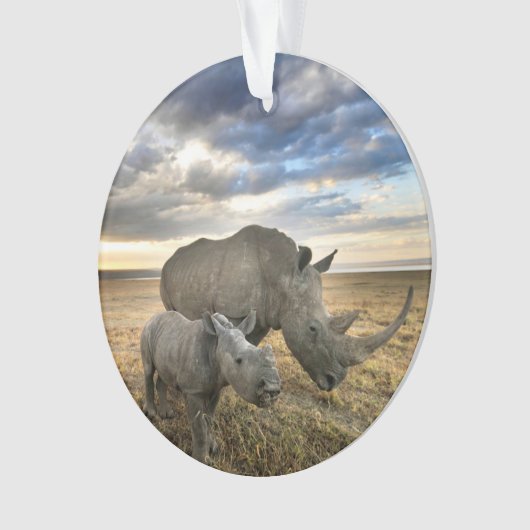 Kutest Baby Animals | Witte Rijn en Calf Ornament (voorkant)