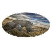 Kutest Baby Animals | Witte Rijn en Calf Snijplank (Hoek)