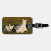 Kutest Baby Animals | Witte Terriers West Highland Bagagelabel (Voorkant horizontaal)