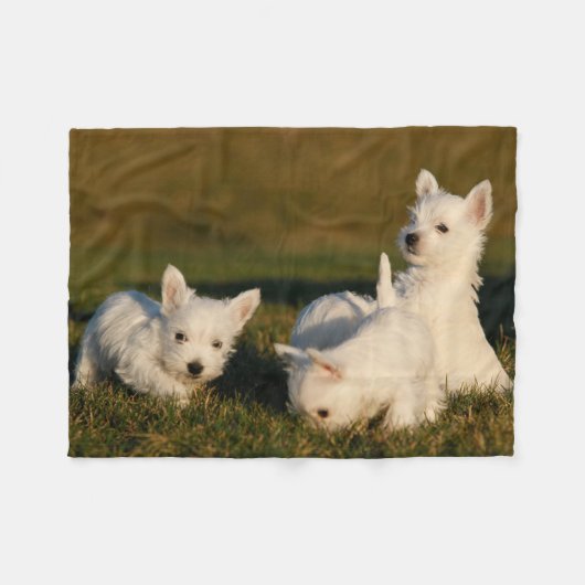 Kutest Baby Animals | Witte Terriers West Highland Fleece Deken (Voorkant (Horizontaal))