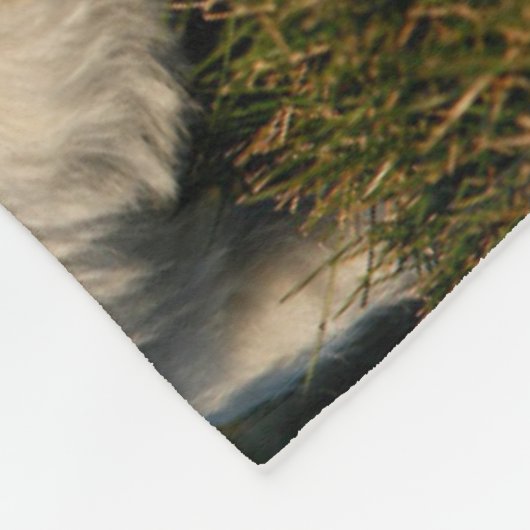 Kutest Baby Animals | Witte Terriers West Highland Fleece Deken (Hoek)