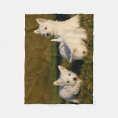 Kutest Baby Animals | Witte Terriers West Highland Fleece Deken (Voorkant)