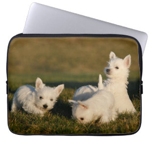 Kutest Baby Animals   Witte Terriers West Highland Laptop Sleeve