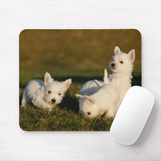 Kutest Baby Animals | Witte Terriers West Highland Muismat (Met muis)