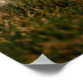 Kutest Baby Animals | Witte Terriers West Highland Poster (Hoek)