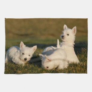 Kutest Baby Animals Witte Terriers West Highland Theedoek