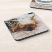 Kutest Baby Animals | Yorkshire Terrier Bier Onderzetter (Linkerzijde)