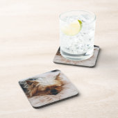 Kutest Baby Animals | Yorkshire Terrier Bier Onderzetter (Rechterzijde)