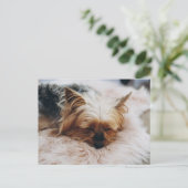 Kutest Baby Animals | Yorkshire Terrier Briefkaart (Staand voorkant)