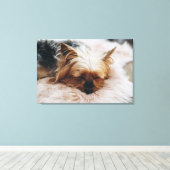 Kutest Baby Animals | Yorkshire Terrier Canvas Afdruk (Insitu (Houten vloer))