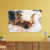 Kutest Baby Animals | Yorkshire Terrier Canvas Afdruk (Insitu (Woonkamer))