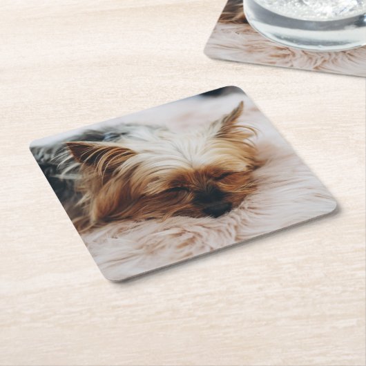 Kutest Baby Animals | Yorkshire Terrier Kartonnen Onderzetters (Schuin)