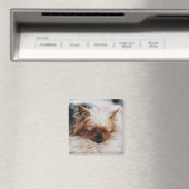 Kutest Baby Animals | Yorkshire Terrier Magneet (Insitu (Vaatwasser))