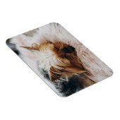 Kutest Baby Animals | Yorkshire Terrier Magneet (Rechterzijde)