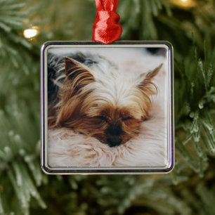 Kutest Baby Animals   Yorkshire Terrier Metalen Ornament