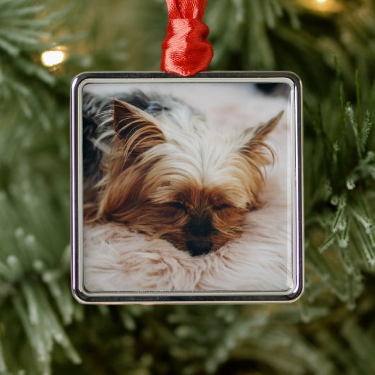 Kutest Baby Animals | Yorkshire Terrier Metalen Ornament (Boom)