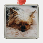 Kutest Baby Animals | Yorkshire Terrier Metalen Ornament (Voorkant)