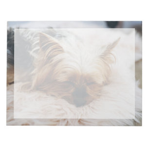 Kutest Baby Animals Yorkshire Terrier Notitieblok