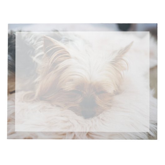 Kutest Baby Animals | Yorkshire Terrier Notitieblok (Voorkant)