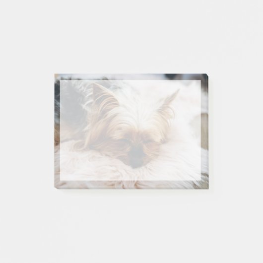 Kutest Baby Animals | Yorkshire Terrier Post-it® Notes (Voorkant)
