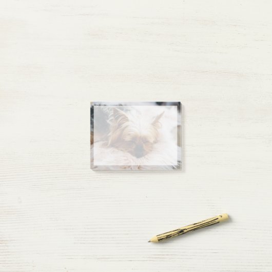 Kutest Baby Animals | Yorkshire Terrier Post-it® Notes (Op bureau)