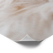 Kutest Baby Animals | Yorkshire Terrier Poster (Hoek)