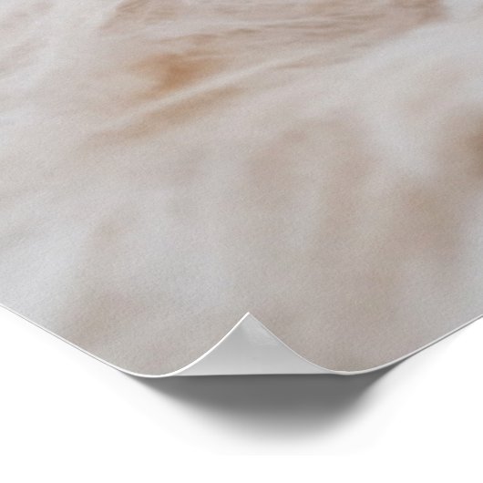 Kutest Baby Animals | Yorkshire Terrier Poster (Hoek)